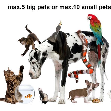 PUY Villa Valkane Pet Friendly 150M From The Stunning Valkane Beach, City Indoor Pools-Fitness And City Mall מראה חיצוני תמונה