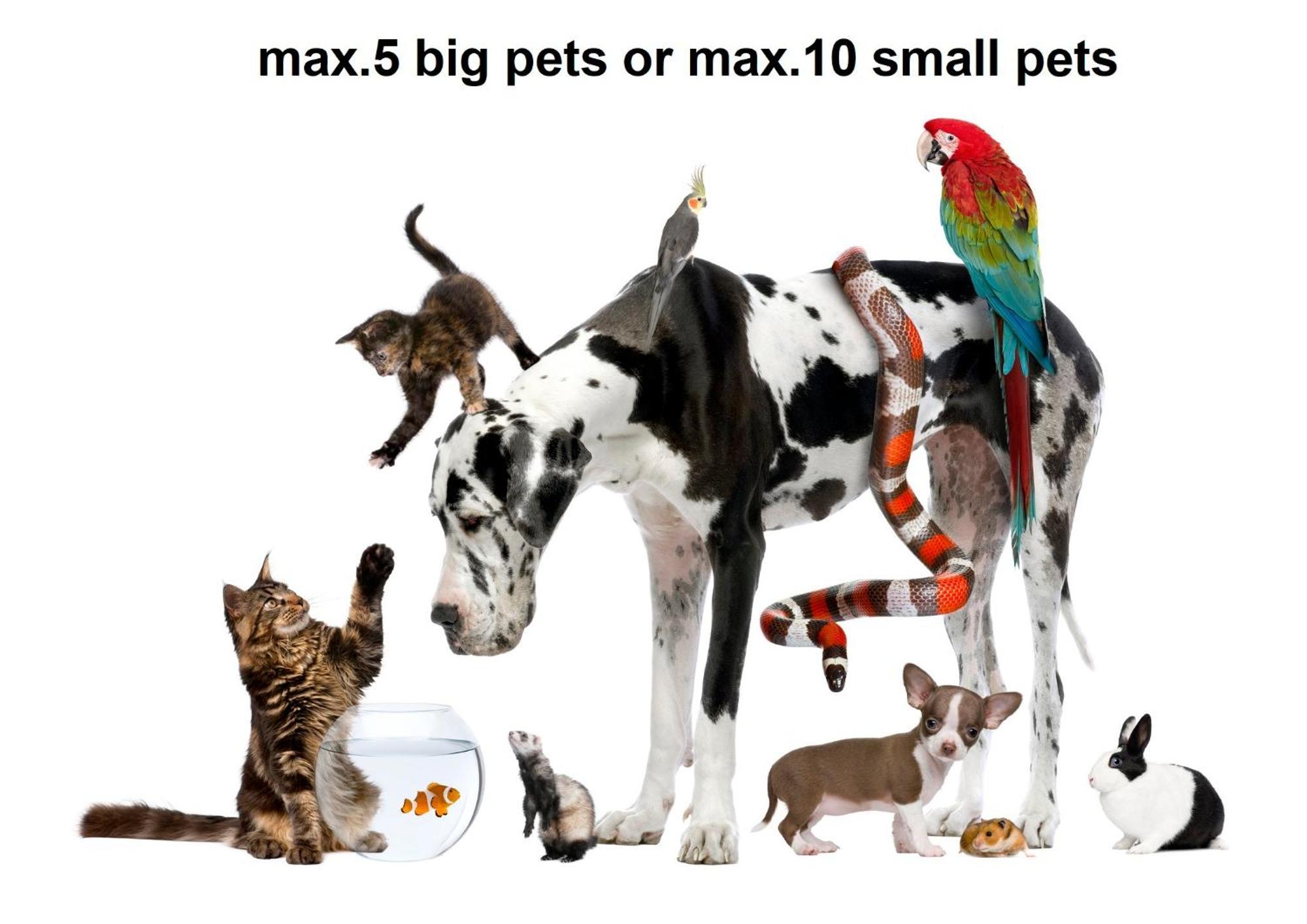 PUY Villa Valkane Pet Friendly 150M From The Stunning Valkane Beach, City Indoor Pools-Fitness And City Mall מראה חיצוני תמונה